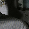 kollektion "saloonfaehig"